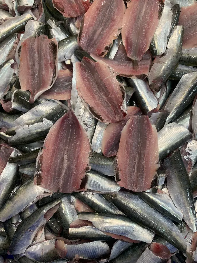 Sarda lavorata