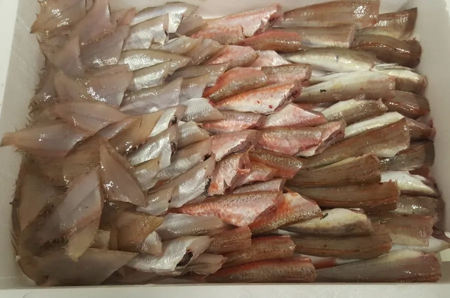 Pesce lavorato