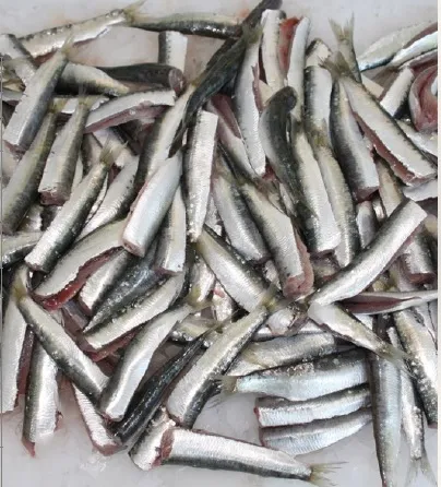 Pesce lavorato