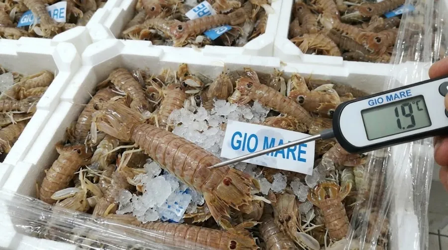 Termometro